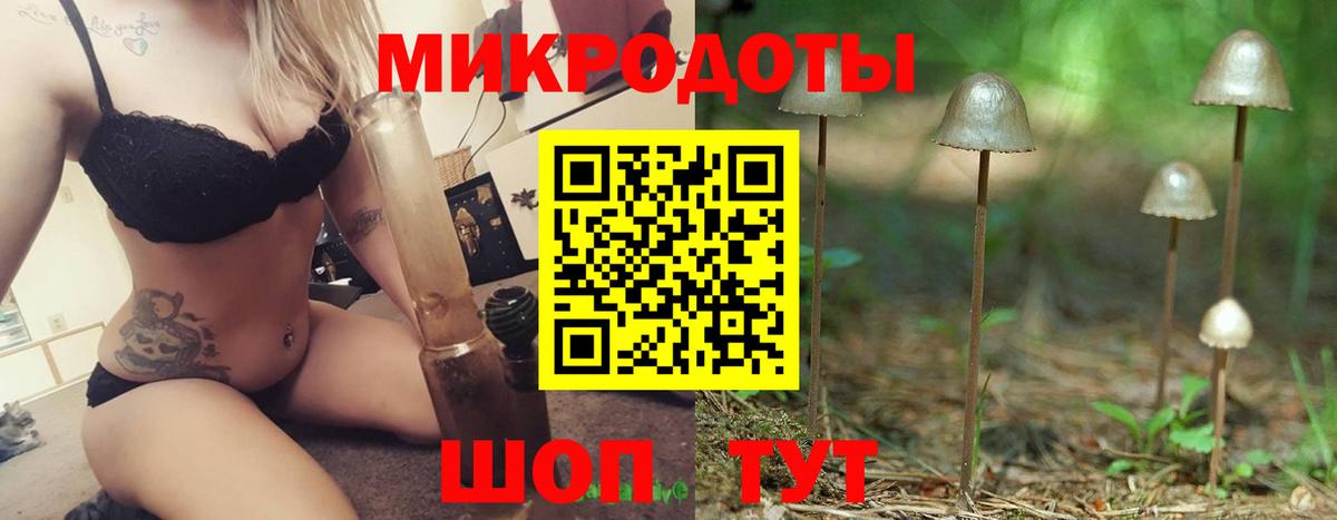 Галлюциногенные грибы Cubensis Новороссийск