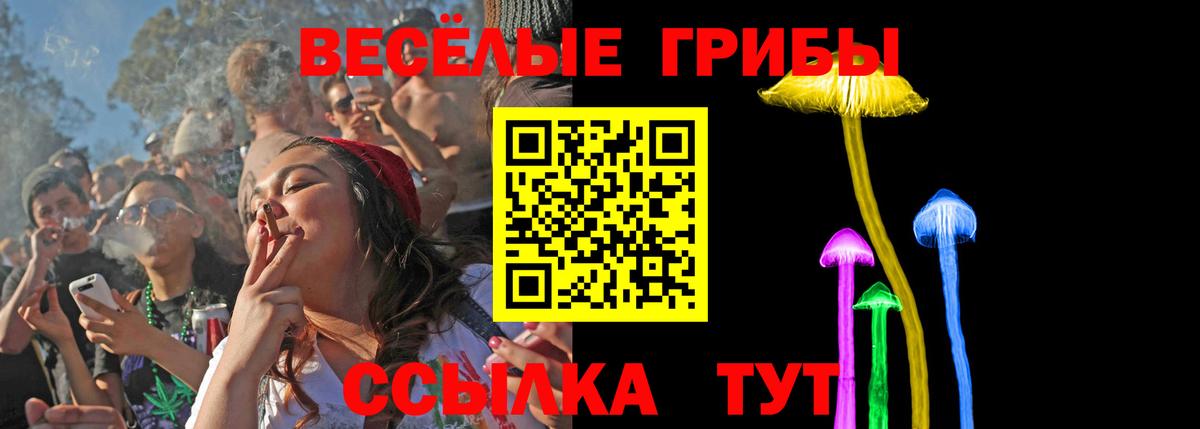 Новороссийск  Псилоцибиновые грибы ЛСД  Вход с VPN  Галлюциногенные грибы GOLDEN TEACHER 